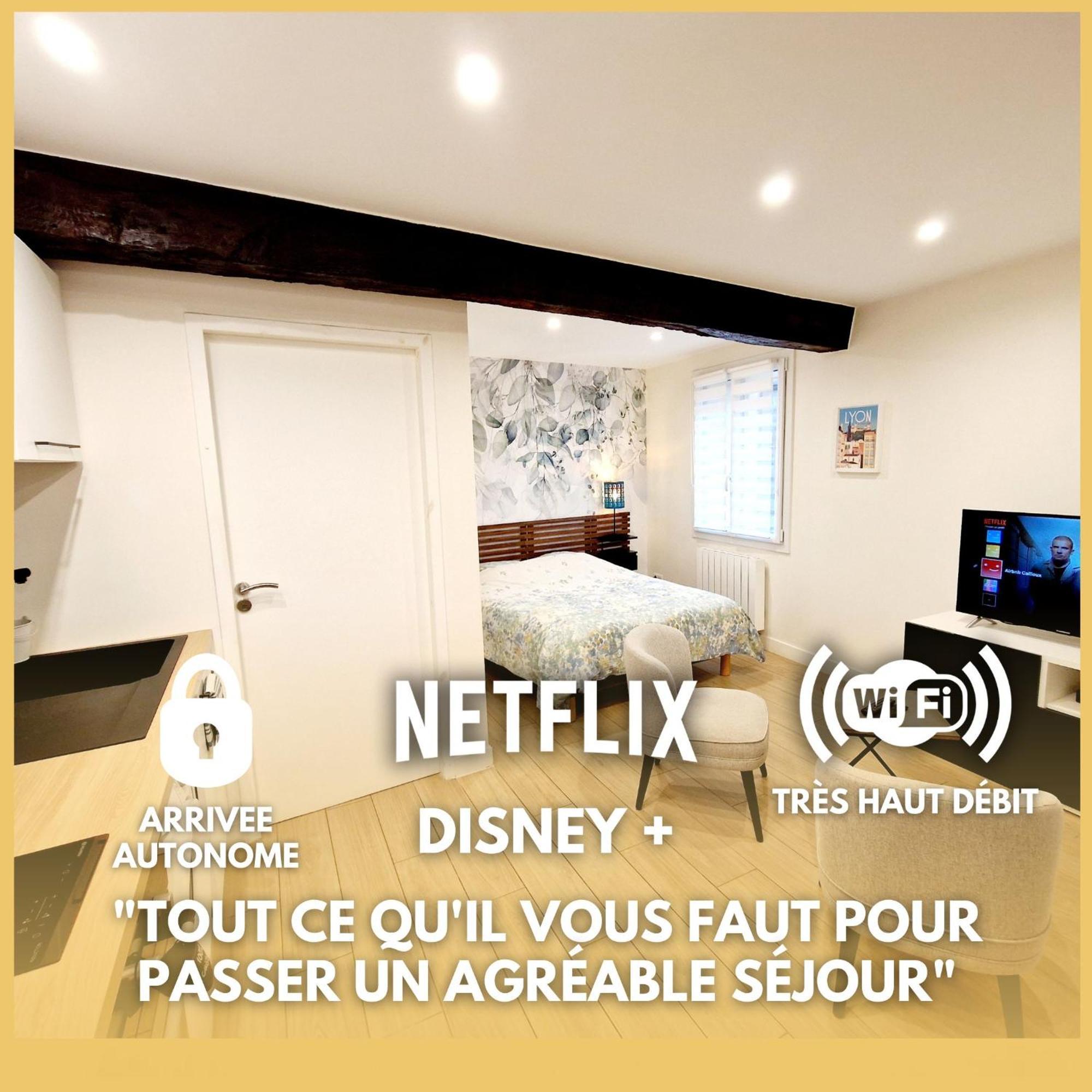 Studio Entierement Equipe Cailloux-sur-Fontaines Εξωτερικό φωτογραφία
